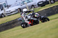 PJ-Motorsport-2019;anglesey-no-limits-trackday;anglesey-photographs;anglesey-trackday-photographs;enduro-digital-images;event-digital-images;eventdigitalimages;no-limits-trackdays;peter-wileman-photography;racing-digital-images;trac-mon;trackday-digital-images;trackday-photos;ty-croes